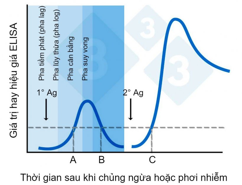 H&igrave;nh 2. Gi&aacute; trị hoặc hiệu gi&aacute; ELISA trong thời gian sau khi chủng ngừa.
